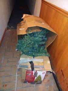 lot 143 image: Christmas Tree Lot - 1 or 2 ()