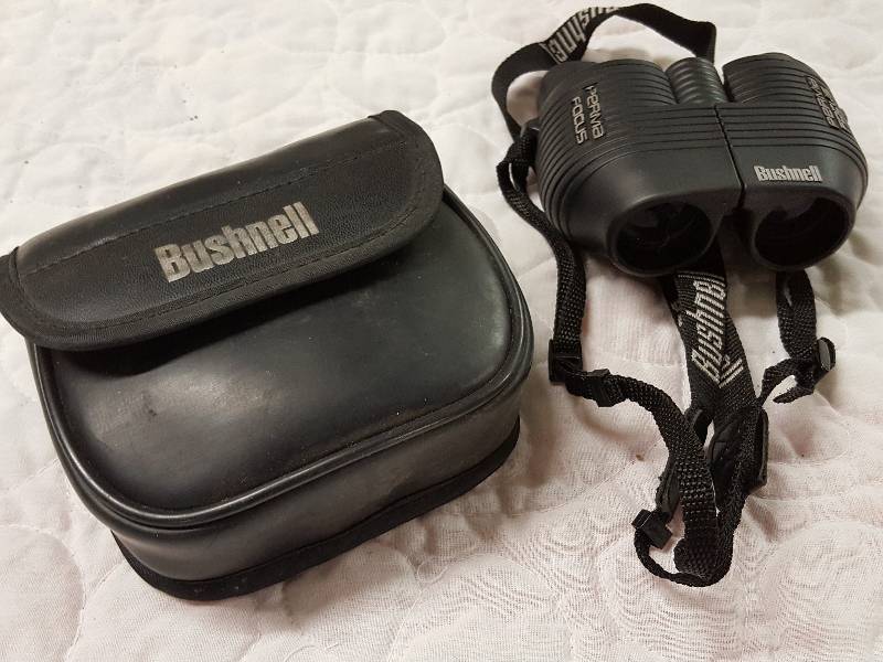 lot 1084 image: Set of Bushnell Perma Focus 8 X 25 341 FT FOV binoculars in the case with neck strap