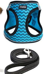 lot 53205 image: Dog Harness and Leash Set- may not be exact stock photo