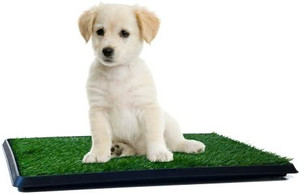 lot 53214 image: Artificial Grass Patch for Dogs Potty Training