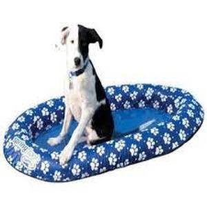 lot 7647 image: SwimWays Spring Float Paddle Paws Dog Pool Float - Small (0-65 lbs)