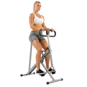 lot 8017 image: Sunny Row N Ride Exerciser