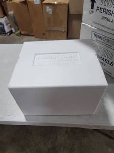 lot 1669 image: 2 Styrofoam Coolers