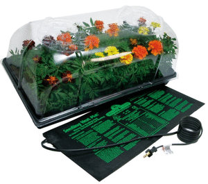 lot 1737 image: Jump Start CK64060 Germination Hot House with Heat Mat, Tray, Cell Insert & Dome
