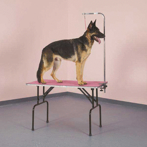 lot 8002 image: Top Performance Table Mat 24x36in Purple