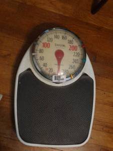 lot 1236 image: Taylor Professional 300 Pound  Personal Scale