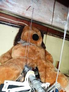 lot 1712 image: Large Teddy Bear