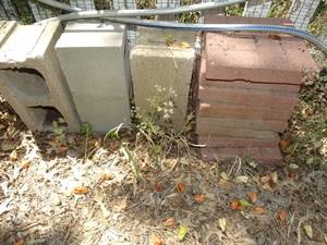 lot 1922 image: Cinder Blocks and Misc Red Pavers