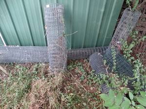 lot 1963 image: East of Green Building  Variety Lot of Chicken Wire