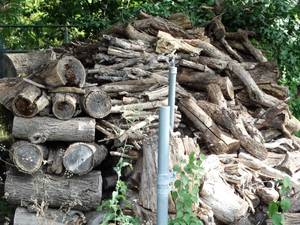 lot 1975 image: Pile of Wood