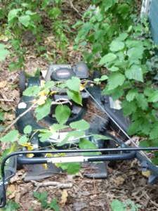 lot 1991 image: Lawn Mower