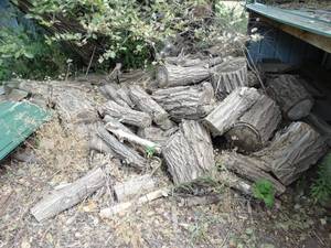 lot 1974 image: Fire Wood  Small Pile