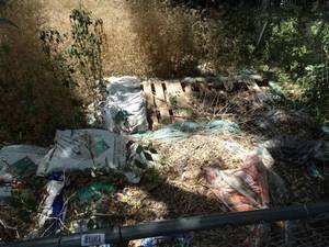 lot 1996 image: A Few Bags of Top Soil