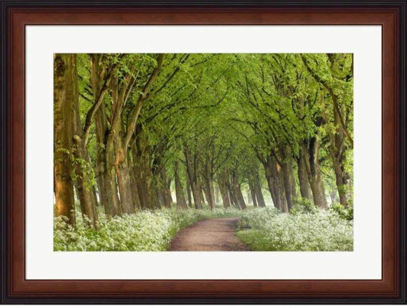 lot 70517 image: Cow Parsley Curve by Lars Van De Goor - Picture Frame Print Damage See Pictures