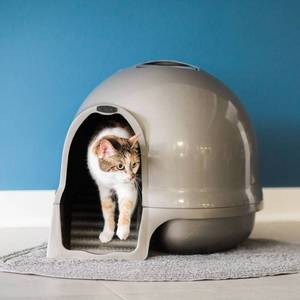 lot 38926 image: Booda Dome Clean Step Cat Litter Box Pearl