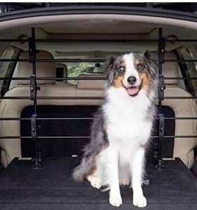 lot 1092 image: Dog Safety Barrier