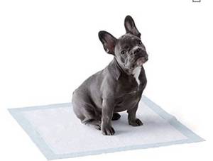 lot 1157 image: Amazon Basics Dog and Puppy Pads, Leak-proof 5-Layer Pee Pads with Quick-dry Surface for Potty Training