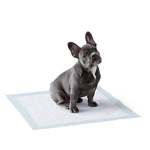 lot 12071 image: Amazon Basics Dog and Puppy Pee Pads with Leak-Proof Quick-Dry Design for Potty Training, Standard Absorbency, Regular Size, 22 x 22 Inches - Pack of 150