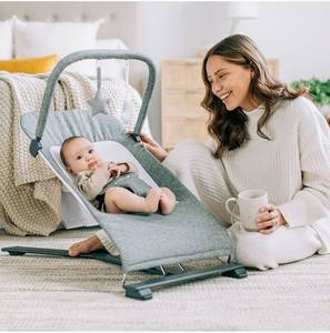 lot 12114 image: BABY DELIGHT SOFT MESH BABY BOUNCER