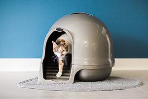 lot 12129 image: PETMATE Dome Litter Box