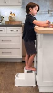 lot 31 image: 2 Step Stool for Kids