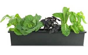 lot 102538 image: Pennington D�cor 100507829 Window Box Liner Plastic Black 5inx24inx5.5in, Small