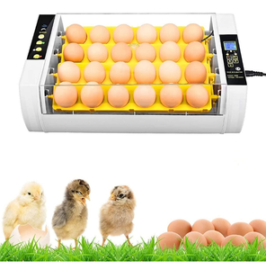 lot 102629 image: Estink 24 Eggs Incubator, Fully Automatic Turning Temperature Humidity Incubator Hatcher Control Digital Poultry Hatcher Machine with Display for Chicken Duck Quail Bird Eggs