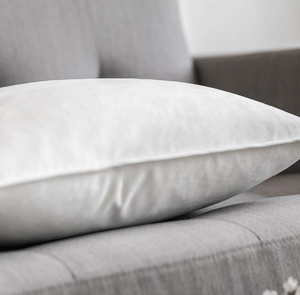 lot 102641 image: MIULEE Pack of 2 Decorative Velvet Throw Pillow Cover Soft Pure White Pillow Cover Solid Square Cushion Case for Sofa Bedroom Car 18x 18 Inch 45x 45cm