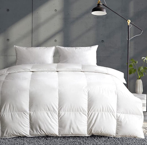 lot 102674 image: APSMILE Lightweight Goose Feathers Down Comforter FullQueen, Feathers Down Duvet for Warm WeatherSleepers -100% Organic Cotton, 750 FP Down Quilt Thin Summer Duvet Insert (Ivory White, 82x86)