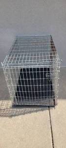 lot 1349 image: XL dog kennel 36L X 22W X 25H