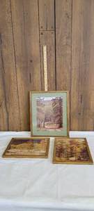 lot 1415 image: Nature photos wframes