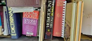 lot 1453 image: Dictionaries and writing study books- see titles and authors in pics