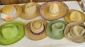 lot 1563 image: Womens sun hats