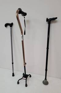 lot 295 image: Walking Canes