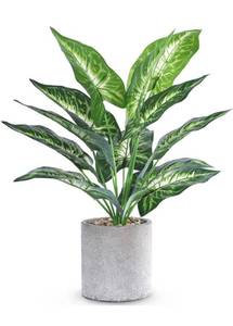 lot 55401 image: WUKOKU 16 Small Fake Plants Artificial Potted Faux Plants Desk Plant for Home Office Farmhouse Kitchen Shelf Indoor Decor
