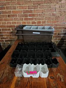 lot 8757 image: Lot of Condiment Caddies and Busser Trays