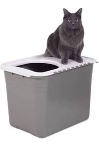 lot 38297 image: Petmate Top Entry Litter Cat Litter Box With Filter Lid To Clean Paws