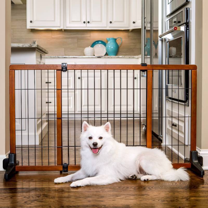 lot 4989 image: Carlson Pet Products Freestanding Pet Gate
