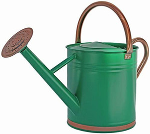 lot 3166 image: Gardener Select (W3005CT-HG-4) Metal Watering Can - Modern Indoor & Outdoor Watering Pot with Handles for FlowersPlants
