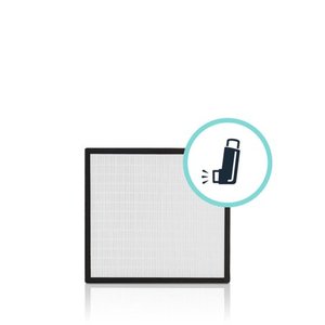 lot 6925 image: Breathesmart-HEPA-Silver replacement filter