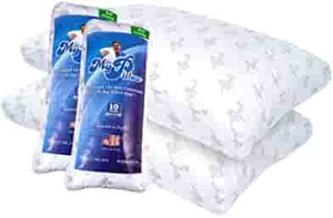 lot 8427 image: MyPillow Premium Bed Pillow 2 Pack StdQueen, White