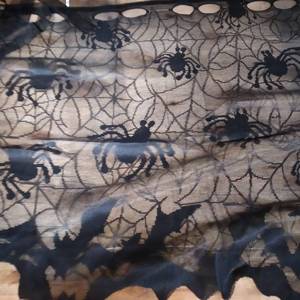 lot 9739 image: HALLOWEEN CURTAIN OR CAPE DECORATION