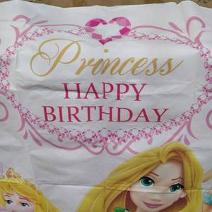 lot 9748 image: PRINCESS HAPPY BIRTHDAY BACKDROP