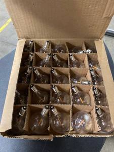 lot 42142 image: 25 Qty G40 LED replacement Bulbs