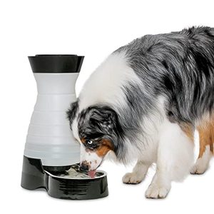 lot 26519 image: PetSafe Healthy Pet Water Station - Large, 320 oz Capacity - Gravity Pet Water Fountain, Automatic Cat Water Fountain or Dog Water Fountain - Water Dispenser - Removable Stainless Steel Bowl Included