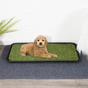 lot 53408 image: Ottomanson Pet Training Collection Non-Slip Easy Clean IndoorOutdoor Tray with Reusable Grass Pad, Green  (15 x 30)