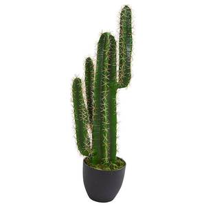 lot 10135 image: Nearly Natural 3 Cactus Artificial Plant