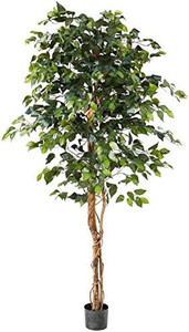 lot 7115 image: Nearly Natural 6ft. Ficus Artificial Trees, 72in