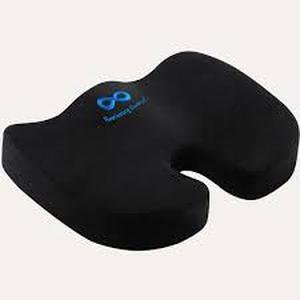 lot 5135 image: Everlasting Seat Cushion