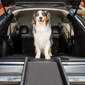 lot 2274 image: PetSafe Happy Ride Folding Dog Ramp for Cars, Trucks, & SUVs - 62 Inch Portable Pet Ramp for Large Dogs with Siderails, Non-Slip - Weighs Only 10 lb, Supports up to 150 lb, Easy Storage, Folds in Half